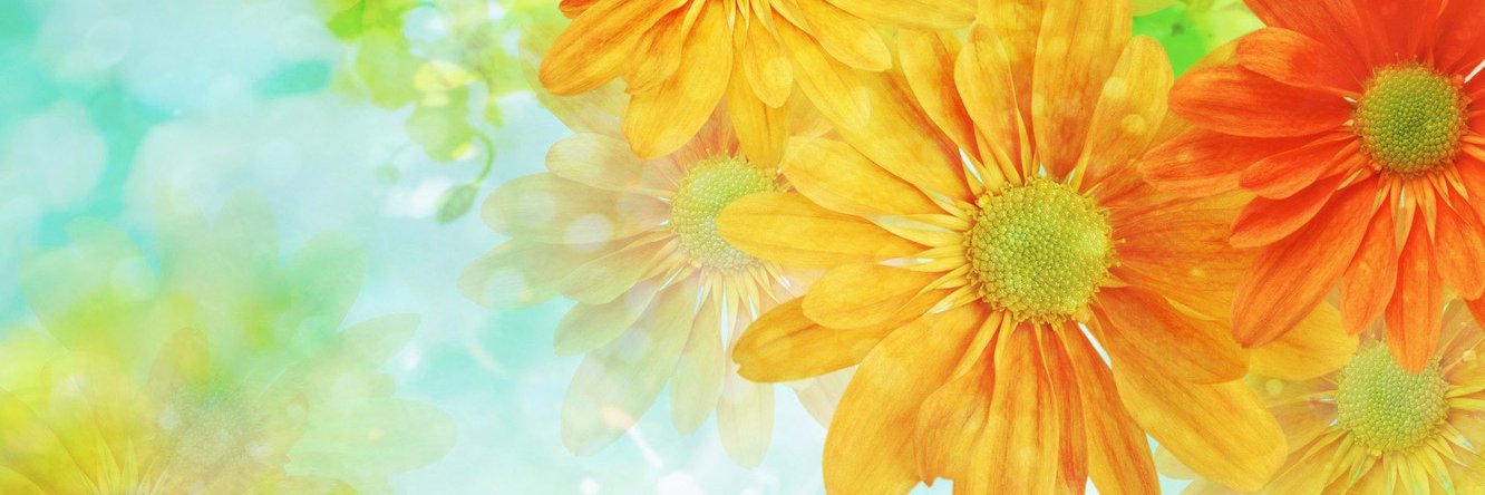 catia_marlon's profile banner image