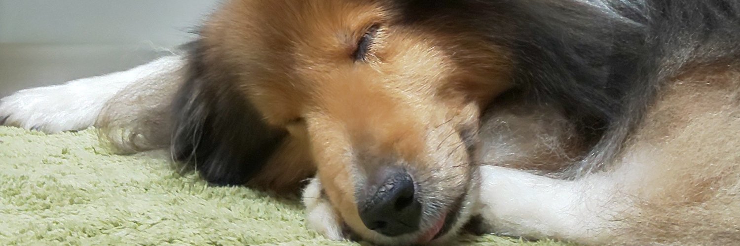 _happy__hako's profile banner image
