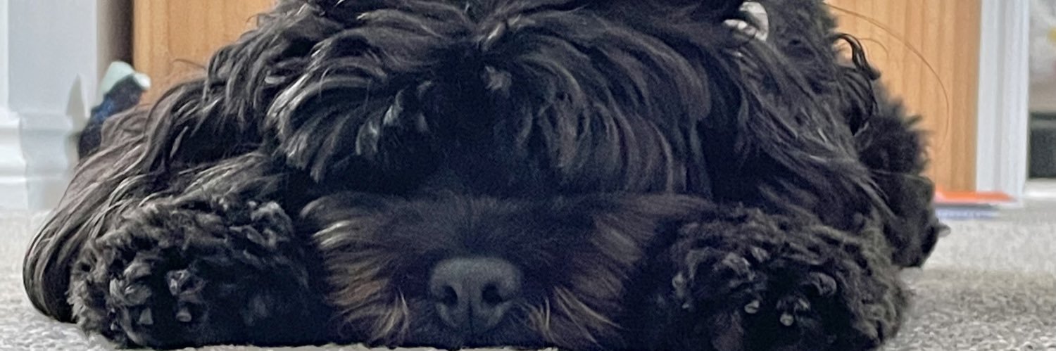 James Desira banner