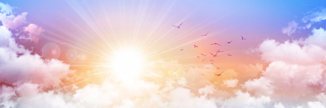 snatched2heaven's profile banner image