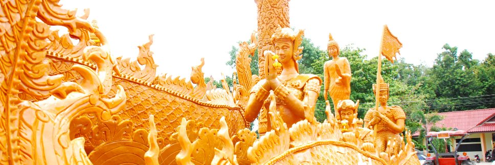 Steve Cook #FBPE #FBPPR💚 banner