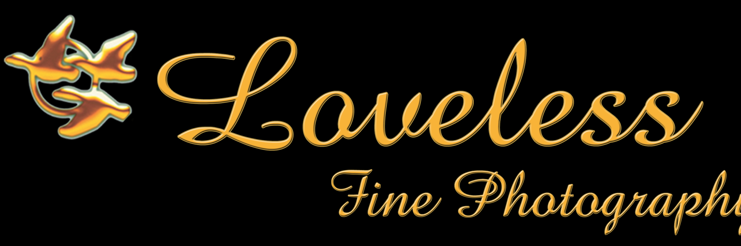 Loveless Photography banner