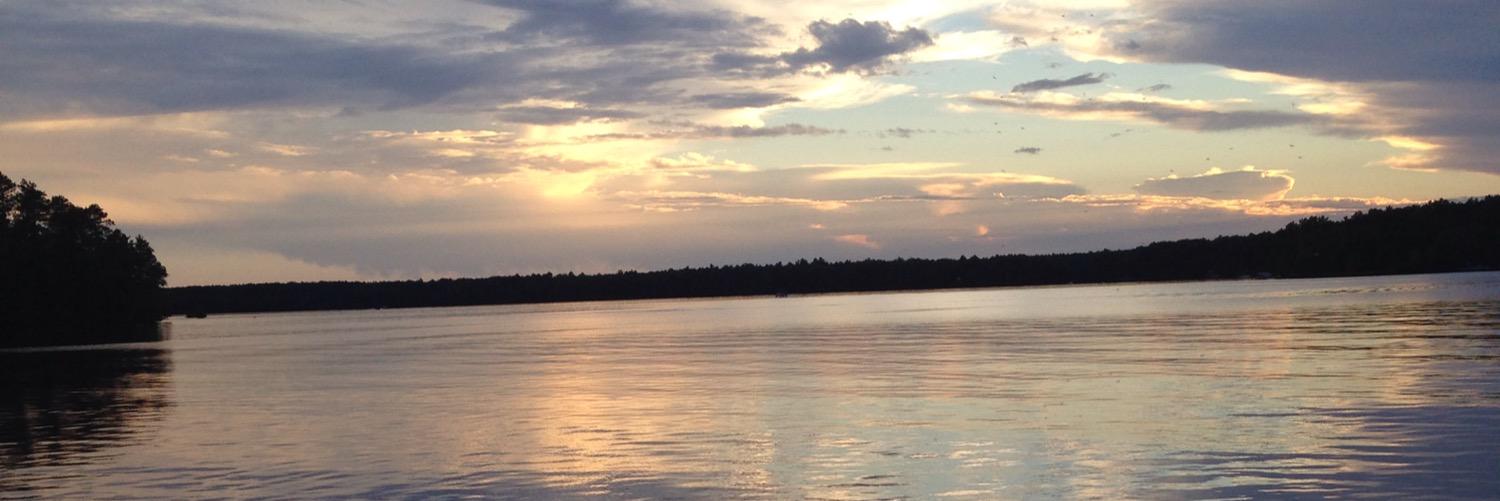 reeseraduenz's profile banner image