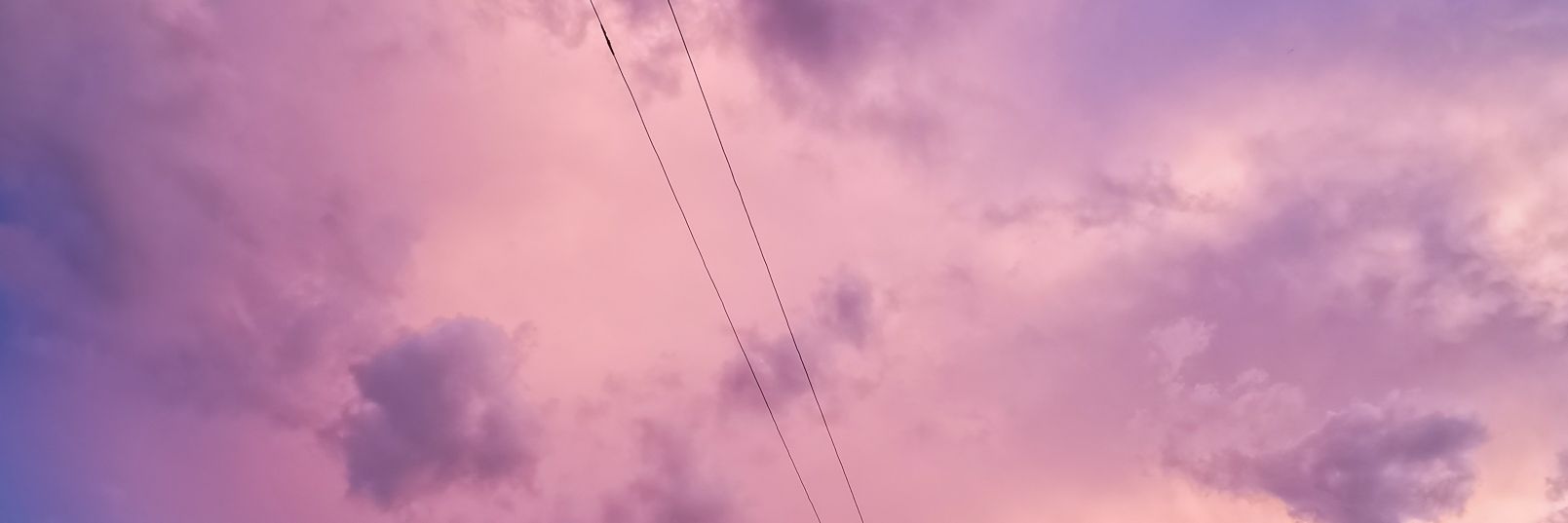 Helga banner