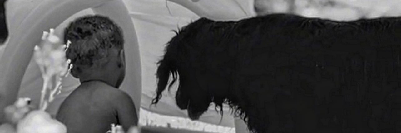 holliejaypee's profile banner image