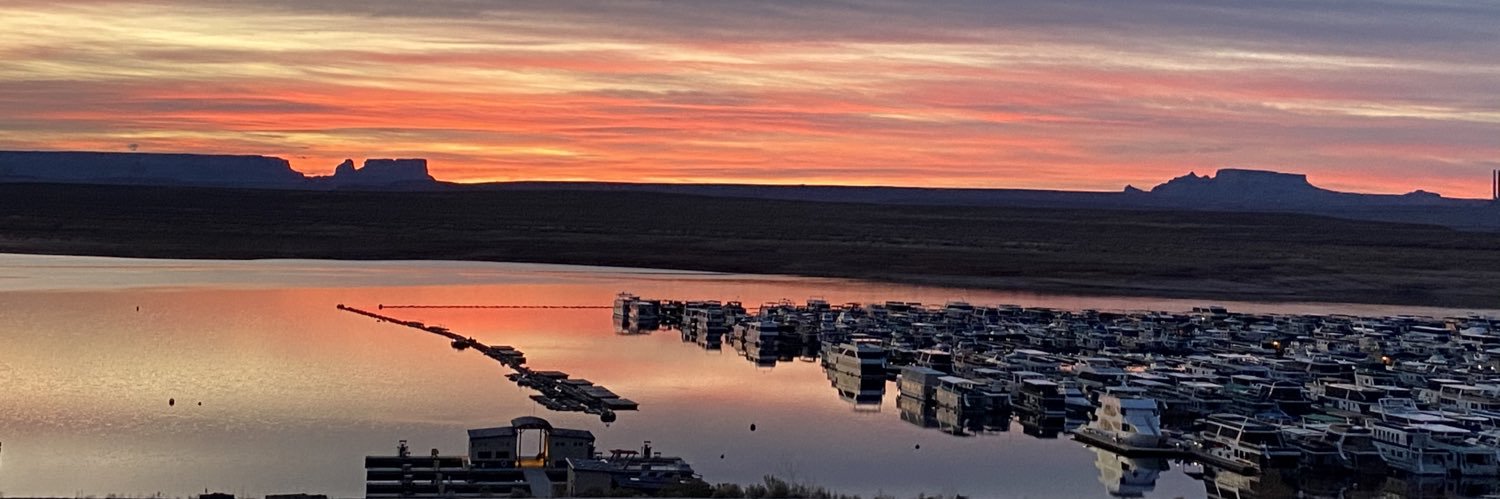 Angela Peterson banner