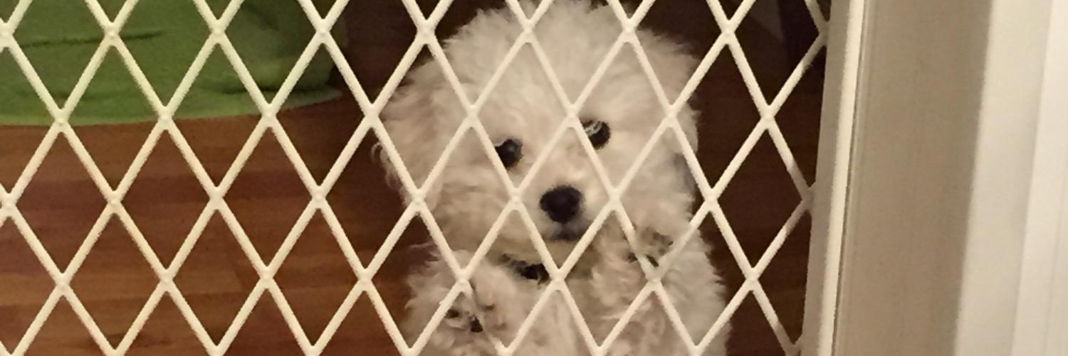 kay_knew's profile banner image