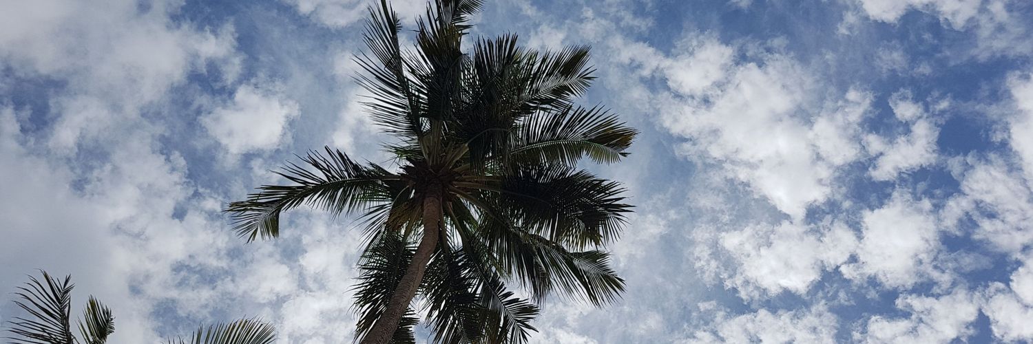 JuliaTorossi's profile banner image