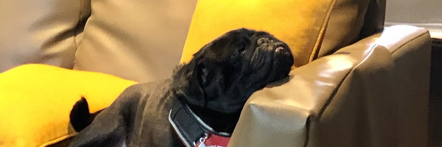 BillingsPeter's profile banner image