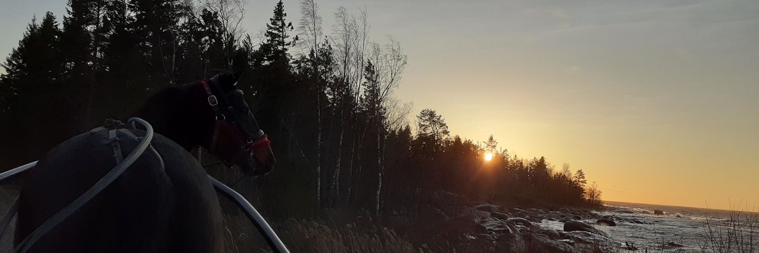 Elsasmatte's profile banner image