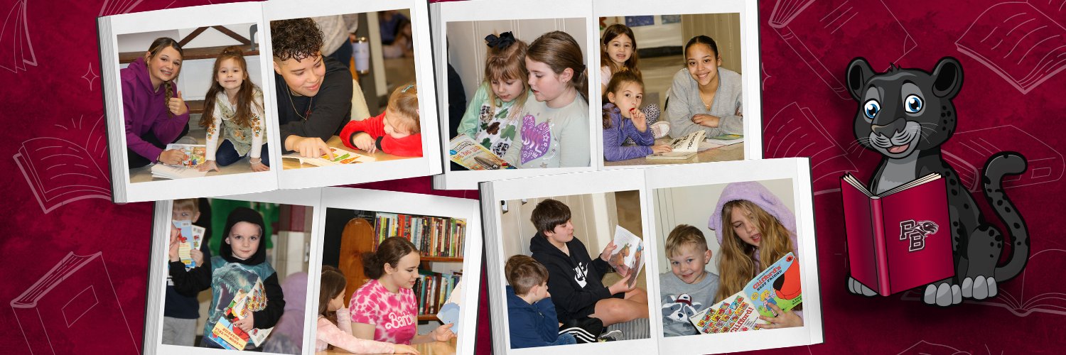 Port Byron CSD banner