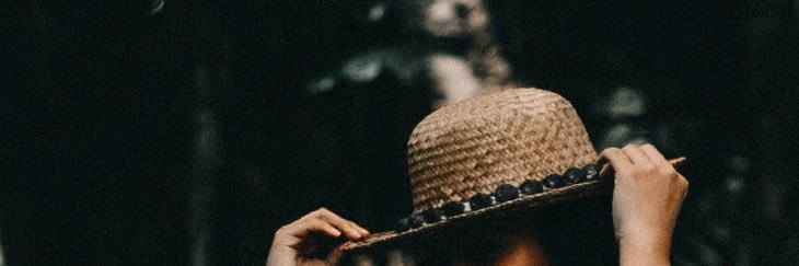 sera banner