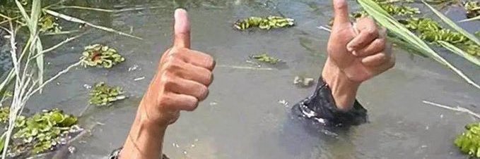 Maxime Bramos 🐞🐞 banner