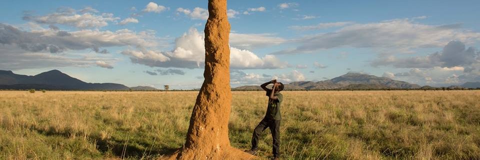lempaso's profile banner image