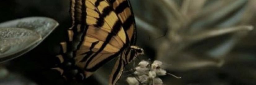 AdmantN's profile banner image
