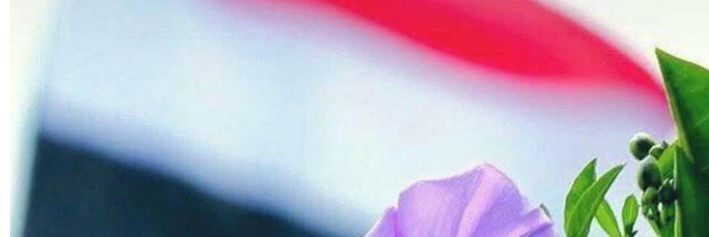 10yemen's profile banner image