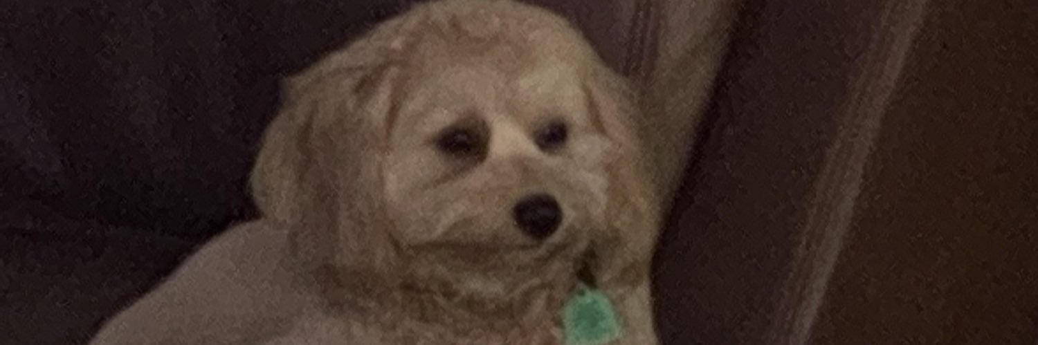LGiebner's profile banner image