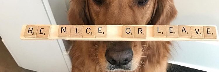 p_mortimer's profile banner image