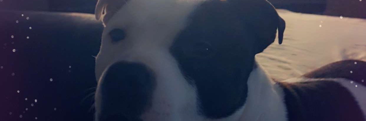 nikkitascott96x's profile banner image