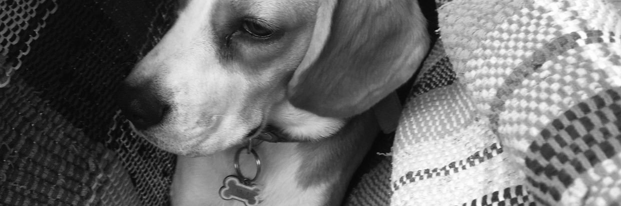 agusortizn's profile banner image