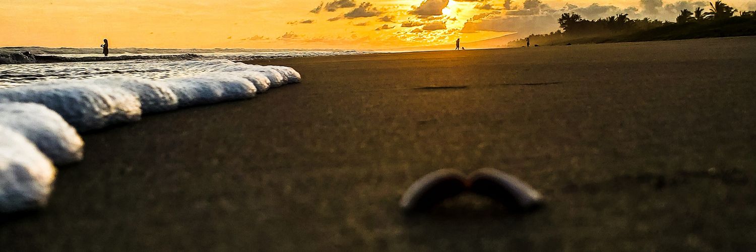 _OscarVig's profile banner image