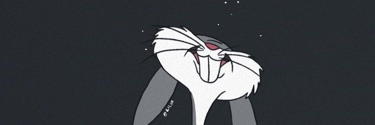 haiderstien's profile banner image