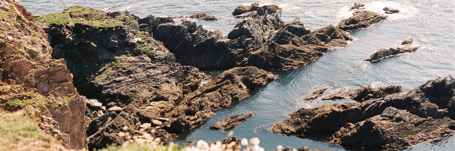 molls 🌿 banner