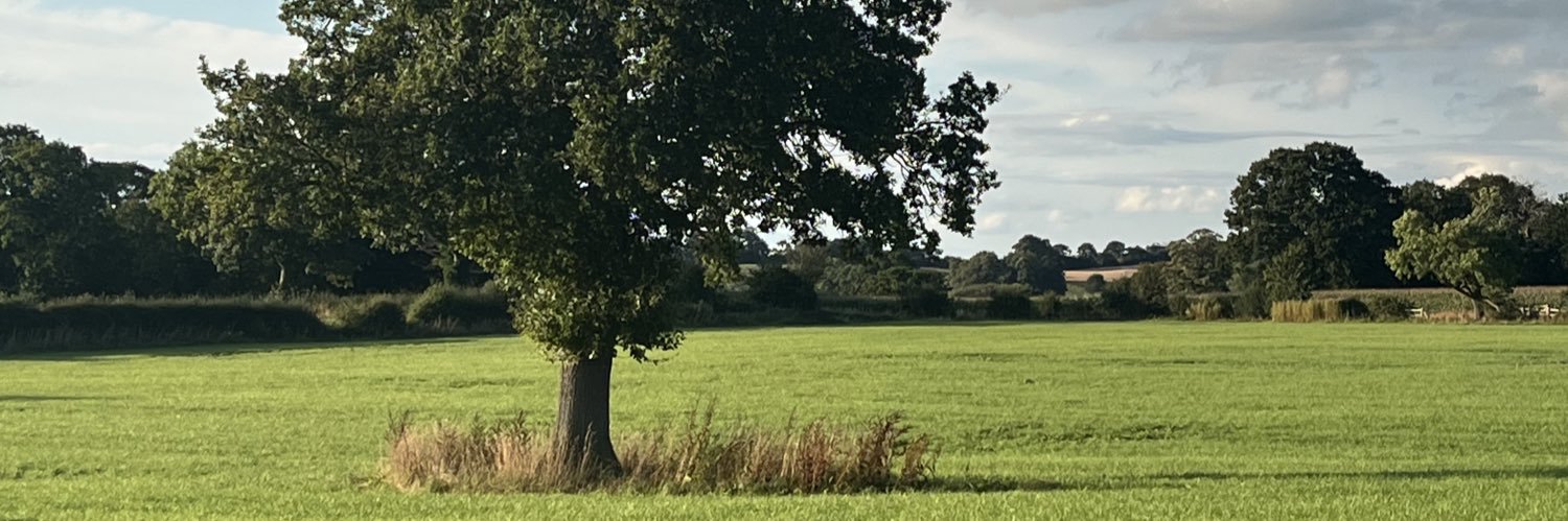 suzemathews's profile banner image