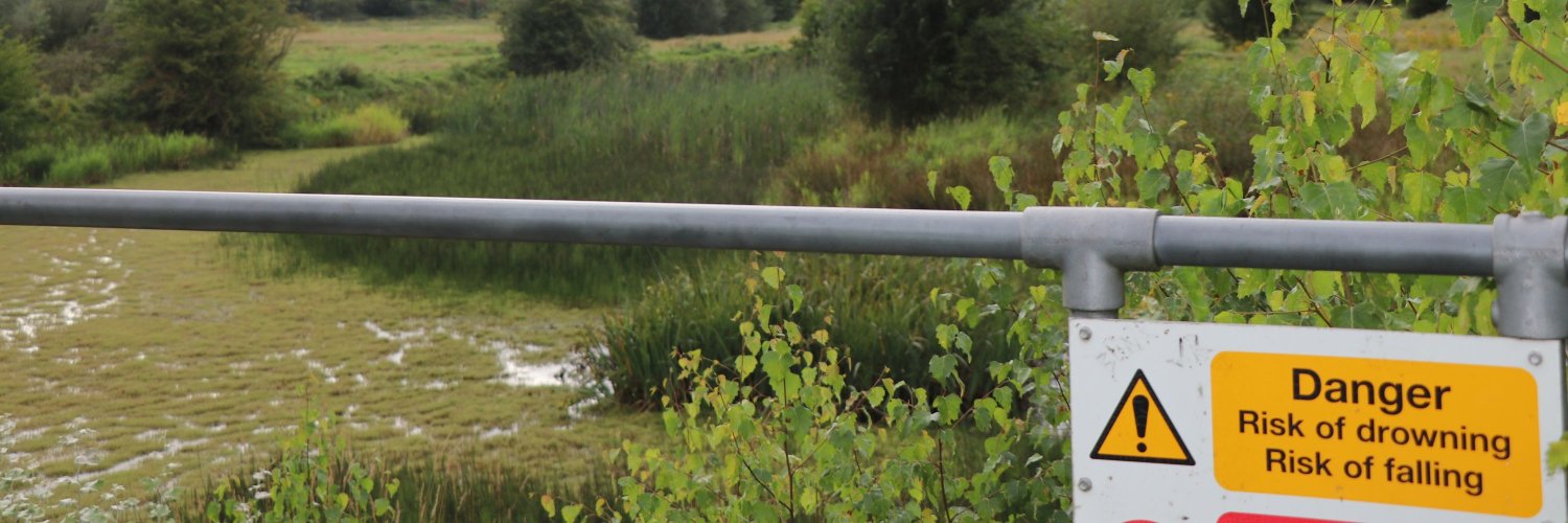 Carsten Timmermann banner