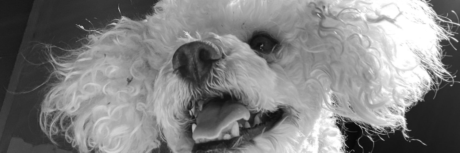 Karoliya's profile banner image