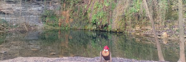 eplaf Profile Banner