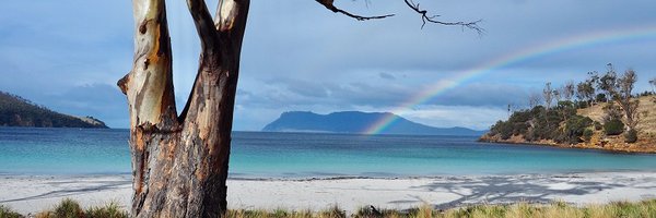 Giulia_Loff Profile Banner