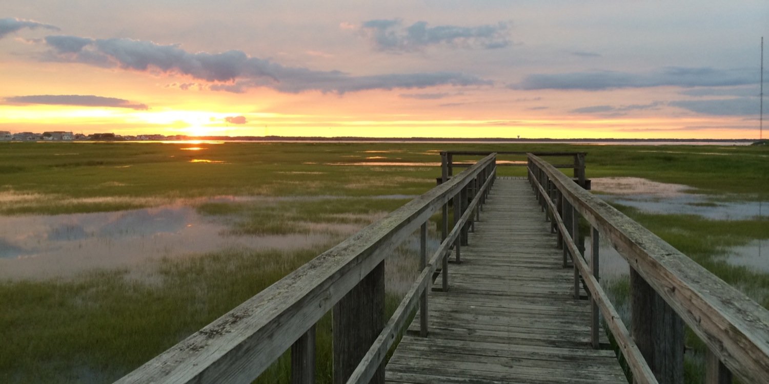 Valerie Dayton banner