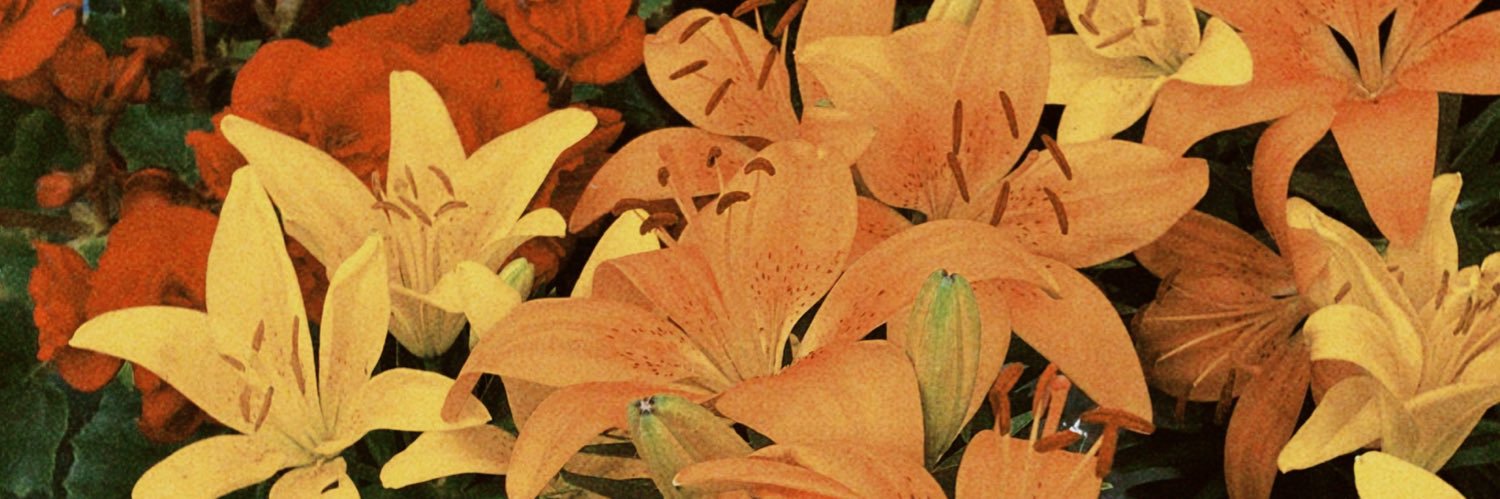 juferrarez's profile banner image