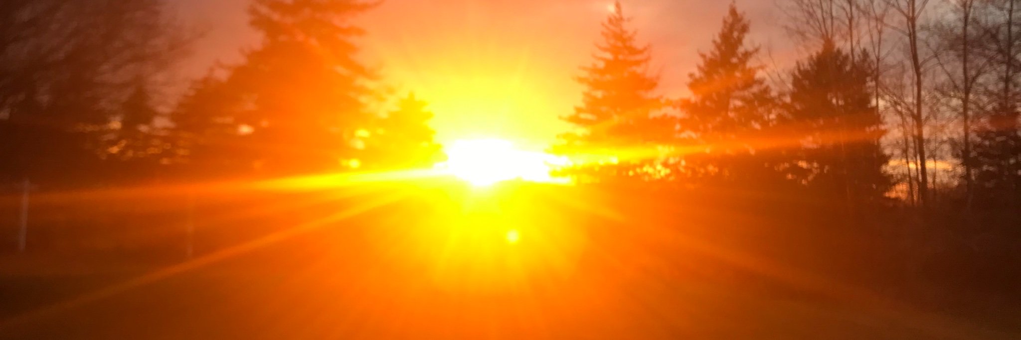 okeefe_sam's profile banner image
