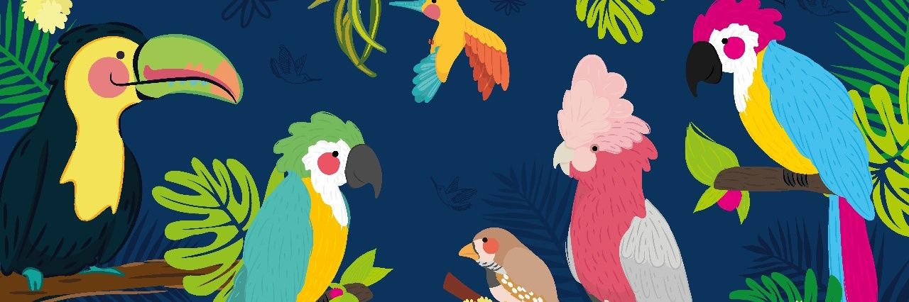 vldonna's profile banner image