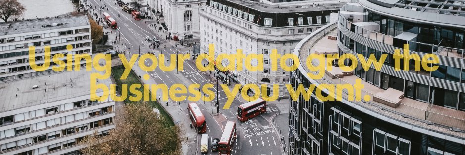 Leopard Business Solutions banner