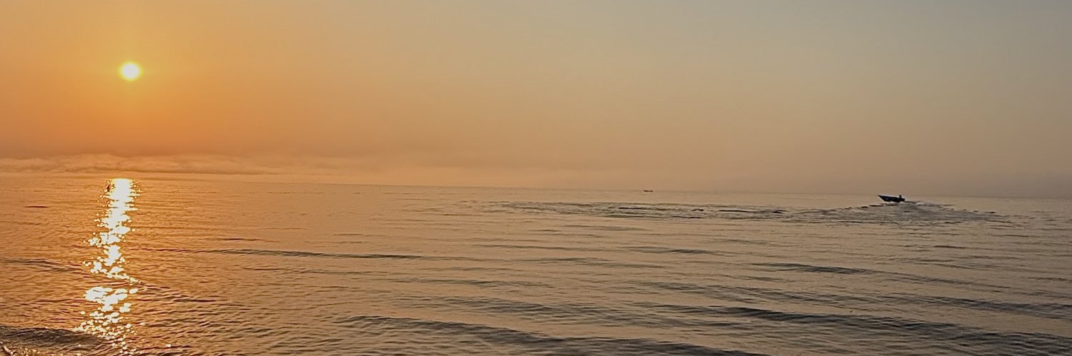 MeysamAsg's profile banner image