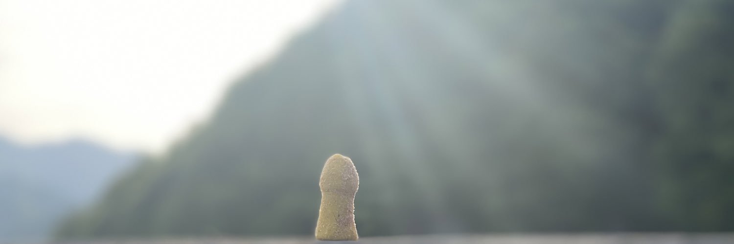 ama495's profile banner image