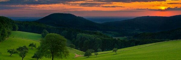 sasj_ Profile Banner