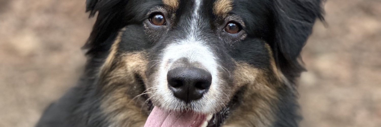 Billy Buckbee banner