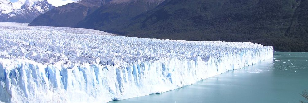 Claus Siepler banner