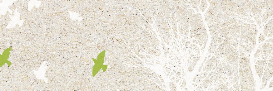 Reyouzable.com banner