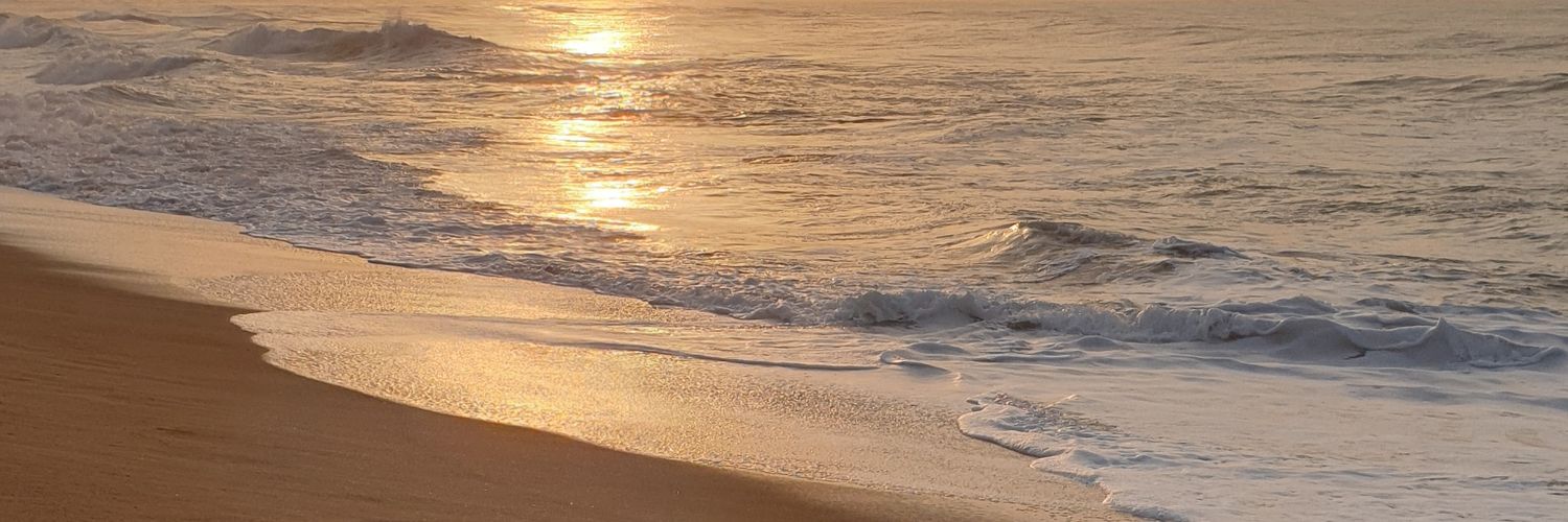 nicoledenner's profile banner image