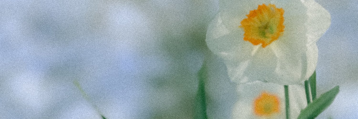 ashton 🩵🌿⛅️ banner