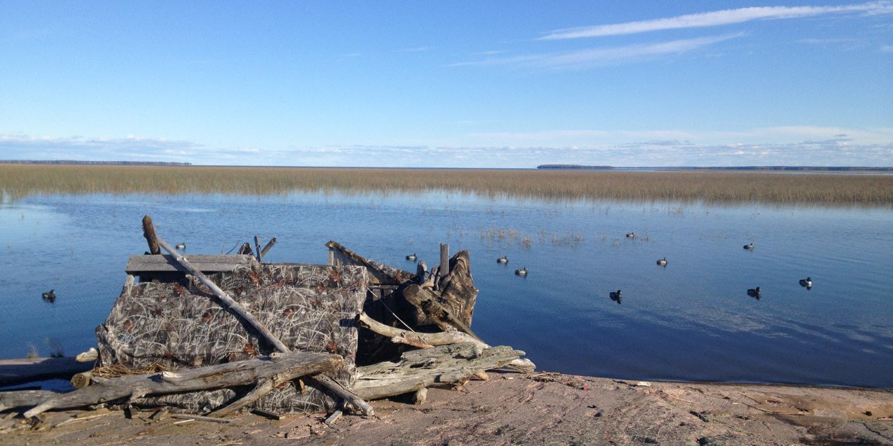 Barry O'Brien banner