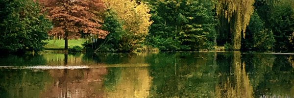 jmgermain Profile Banner