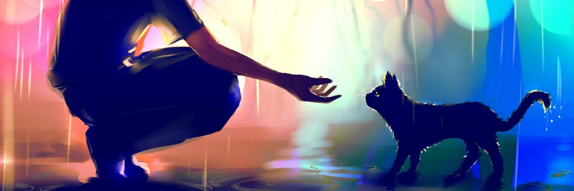 Senolis07's profile banner image