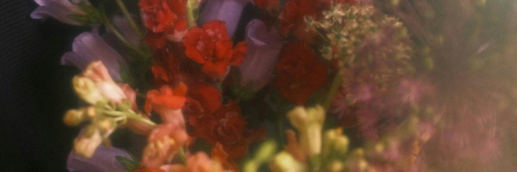 𝙋.ɐɹʞ°🍳 banner