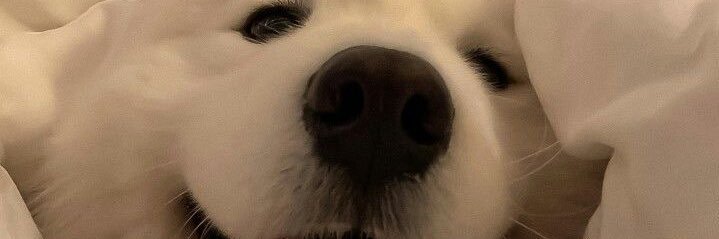 tb_jpr's profile banner image
